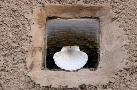 Saint Jacobs shell Stock Photos