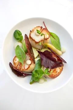 Saint-Jacques dish Stock Photos