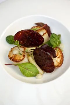 Saint-Jacques dish Stock-Fotos