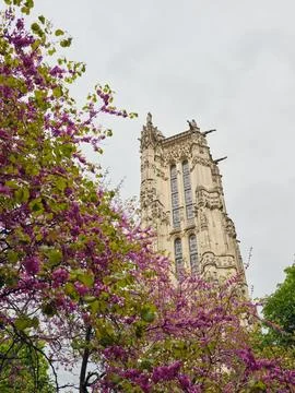 Saint-jacques tower blooming in springtime paris Stock Photos