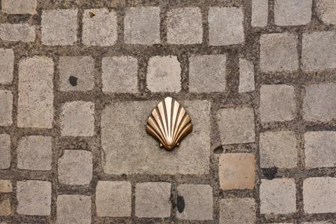 Saint james shell symbol Stock Photos