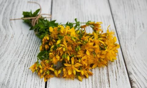 Saint-John's-wort on the table Stock Photos