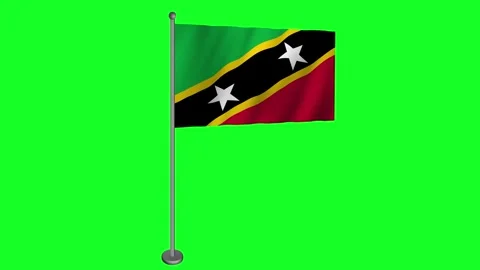 Saint Kitts and Nevis Flag Waving Gracefully on Green Screen Stock-Footage 278721464