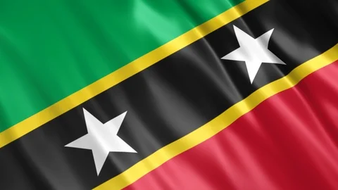 Saint Kitts and Nevis Flags V1 Stock Footage 123891824
