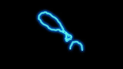 Saint Kitts and Nevis Map Outline Neon Lights Stock Footage 332850528