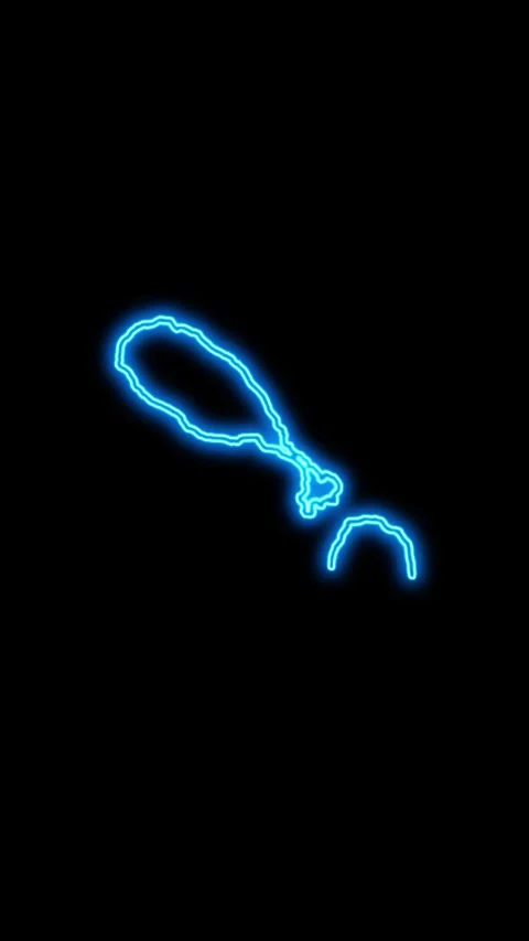 Saint Kitts and Nevis Map Outline Neon Lights Stock Footage 333057262