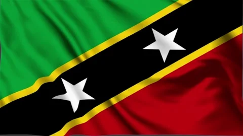 Saint Kitts Waving Flag, Saint Kitts Flag, Flag of Saint Kitts Waving Animation Stock Footage 303876909