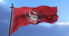 Flag Saint Louis Cardinals American Professional Baseball Team Loop Stock  Video Footage by ©ianm36 #189215746