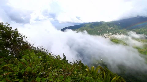 Saint Lucia Petit Piton Summit 動画素材 49246504