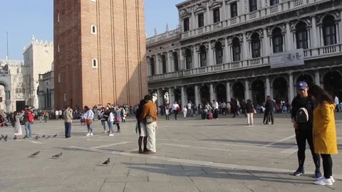 Saint Mark square Stock Footage 81097129