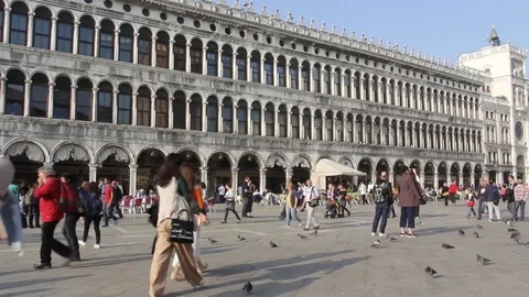 Saint Mark square Stock Footage 81097141