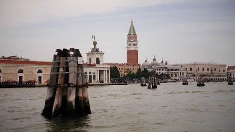 Saint Mark square in Venice Stock Footage 76216471