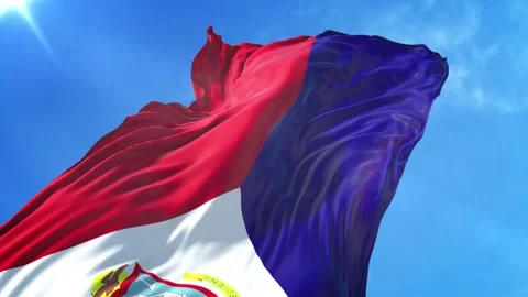 Saint Martin Flag Low Angle View Stock Footage 295701835