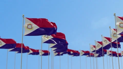 Saint Martin Row Of Flags Animation Video stock 148789865