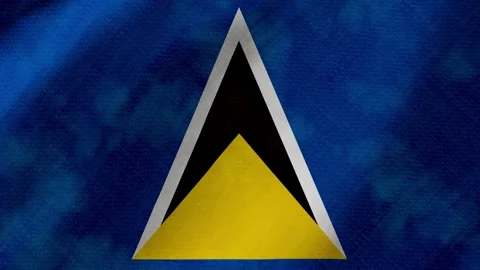 Saint nevis flag waving background with real fabric texture 動画素材 291919654
