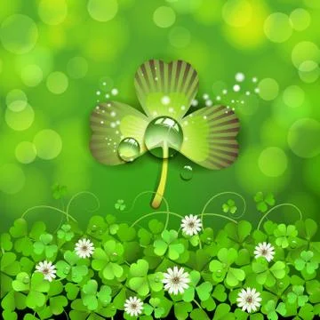 Saint Patrick's Day background with clover Illustrazione stock