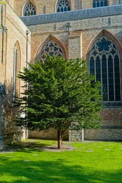 Saint Salvator Cathedral Gothic windows and churchyard in Bruges Belgium Stock Photos