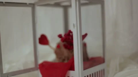 Saint Valentine'S Day Vídeo Stock 46693015