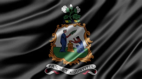 Saint Vincent and the Grenadines flag animation Stock Footage 344815658