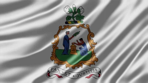 Saint Vincent and the Grenadines official national flag waving Stock Footage 344815643