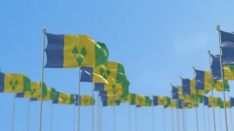 Saint Vincent and the Grenadines Row Of Flags Animation Stock-Footage 148790740