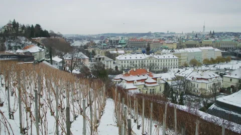 Saint Wenceslas vineyard, in Prague Stock Footage 217366106