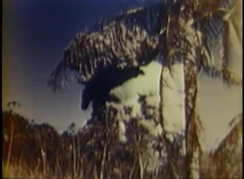 SAIPAN - 1944: Shell burst - A billowing column rises past palms Video stock 343931158