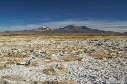 Sajama Stock Photos