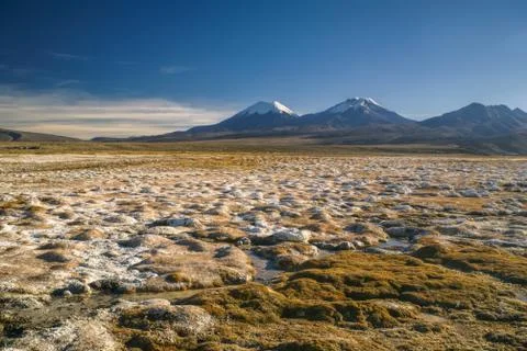 Sajama Stock Photos