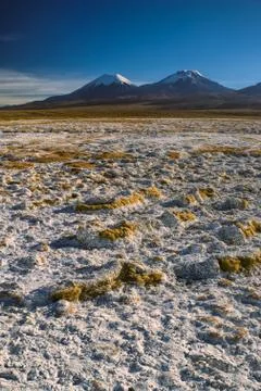 Sajama Foto stock