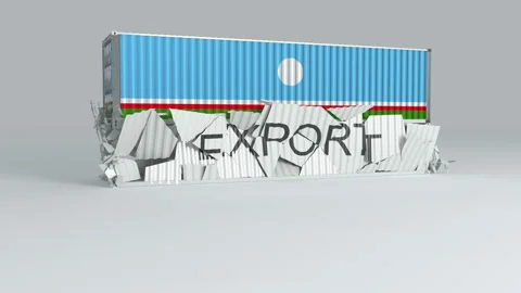 Sakha Republic container with the flag falls on top of a container Video stock 124630739
