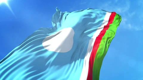 Sakha Republic Flag Low Angle View Stock Footage 295702271