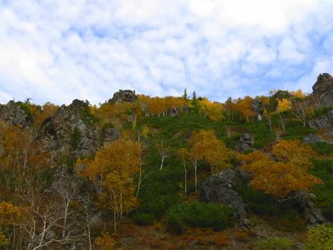 Sakhalin Fall Stock Photos