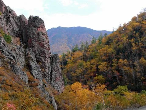 Sakhalin Fall Stock Photos