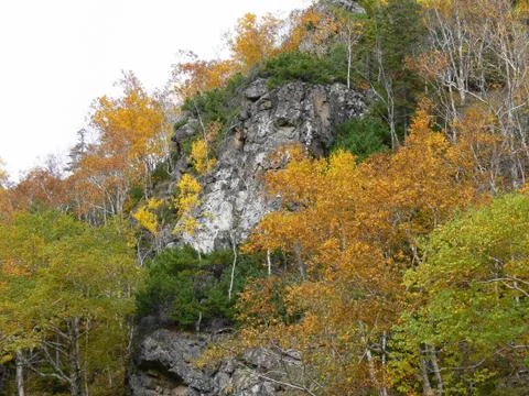 Sakhalin Fall Stock Photos