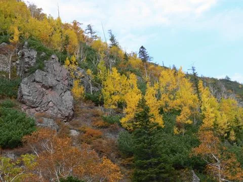 Sakhalin Fall Stock Photos