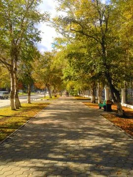 Sakhalin Fall Stock Photos