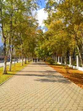 Sakhalin Fall Stock Photos