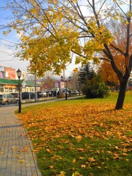 Sakhalin Fall Stock Photos