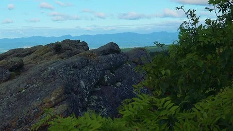 In the Sakhalin forests Stock Footage 73834372