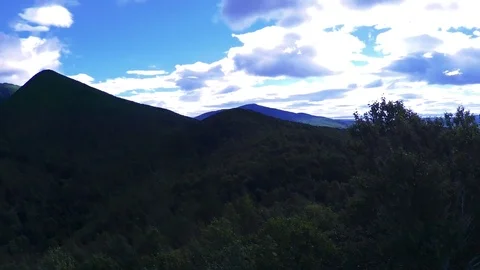 In the Sakhalin forests Stock Footage 73834480