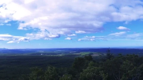 In the Sakhalin forests Stock Footage 73834509