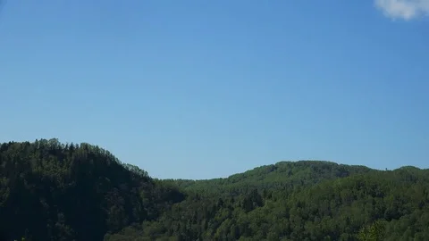 In the Sakhalin forests Stock Footage 75394110