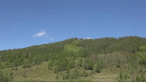 In the Sakhalin forests Stock Footage 75394346