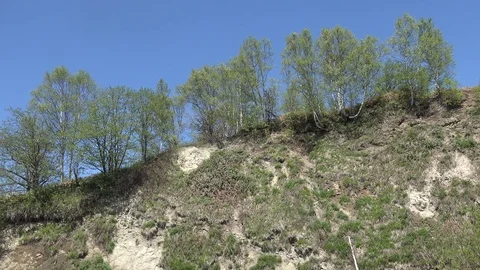 In the Sakhalin forests Stock Footage 75394893