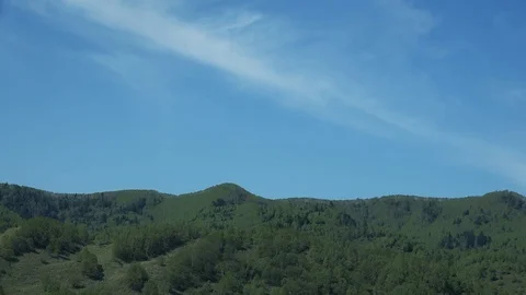 In the Sakhalin forests Stock Footage 75394914