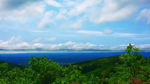 In the Sakhalin forests Stock Footage 114248278