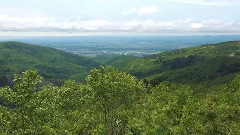 In the Sakhalin forests Stock Footage 114248365