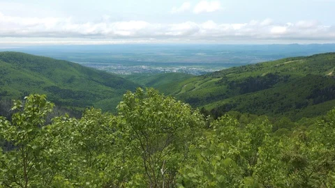 In the Sakhalin forests Stock Footage 114248379