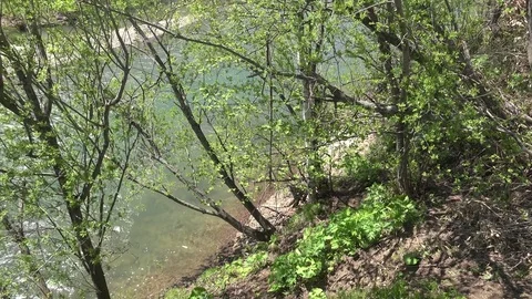 Sakhalin Island River Video stock 75394370